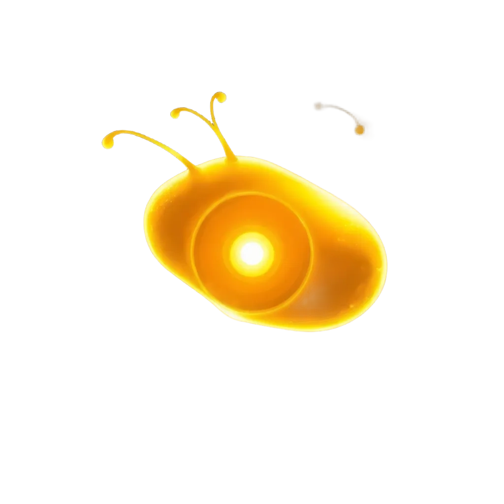 Seed