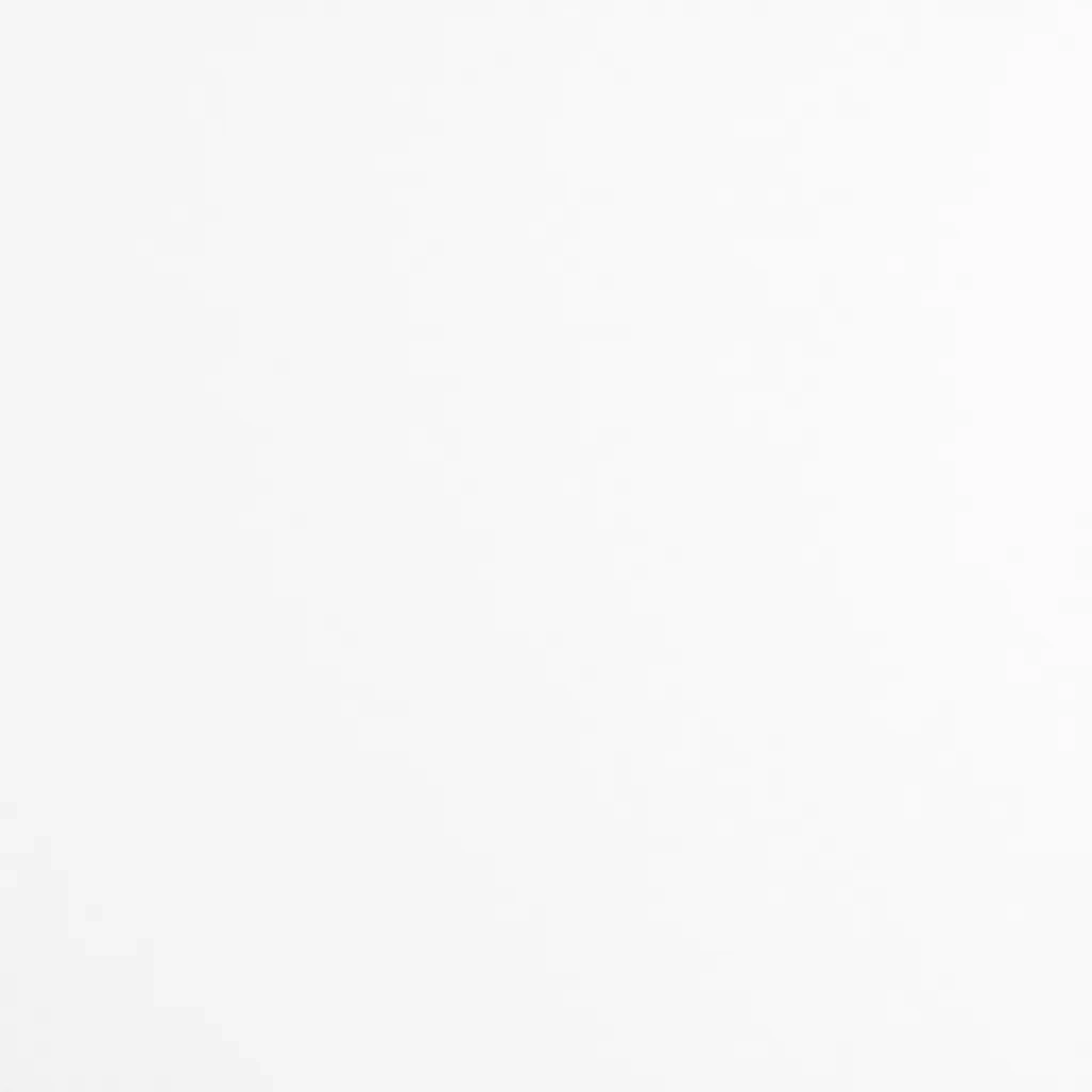 Canvas Placeholder
